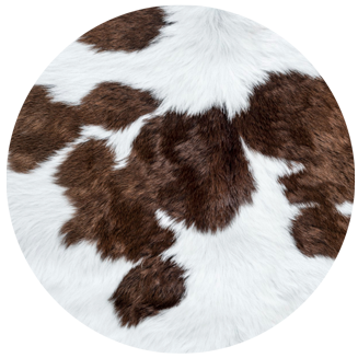 Szőrme szőnyeg tisztítása házilag